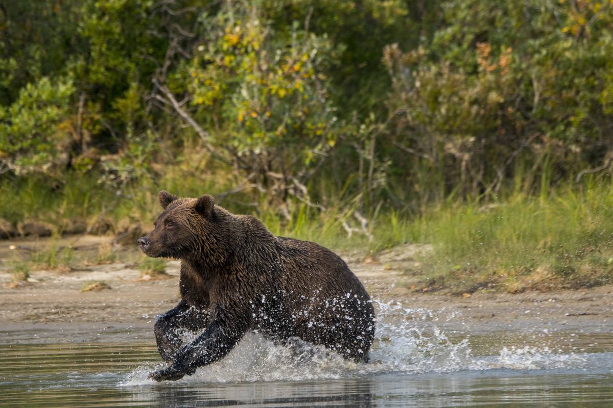 GettyImages-1176343556