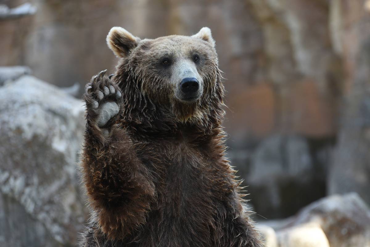 GettyImages-1227001303