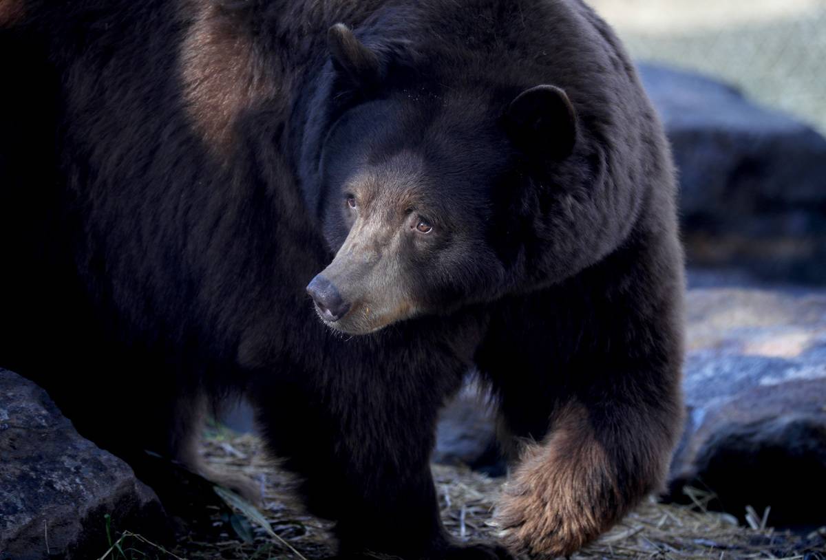 GettyImages-1298891846