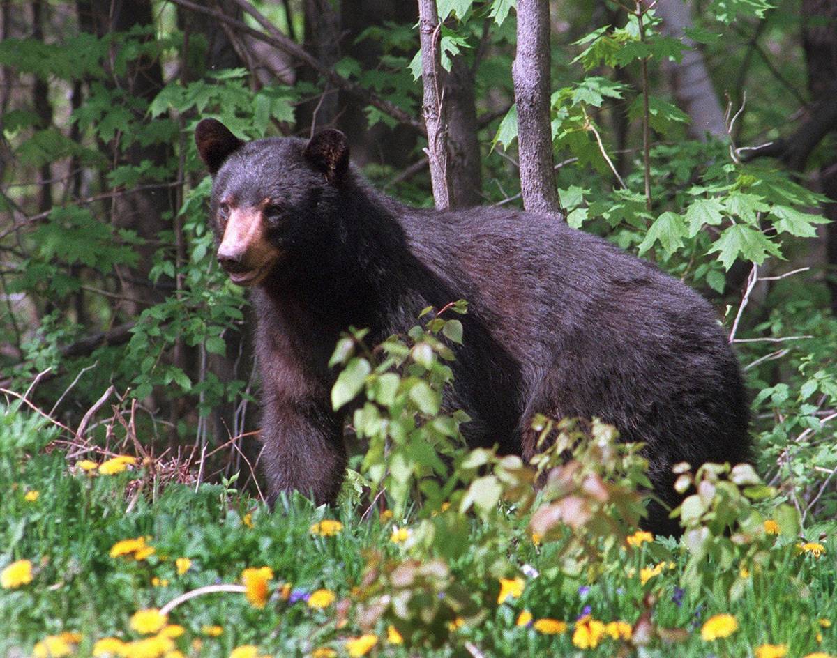 GettyImages-149159950