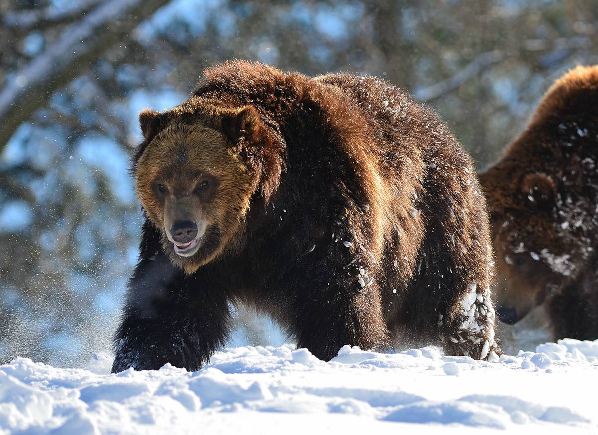 GettyImages-161237108