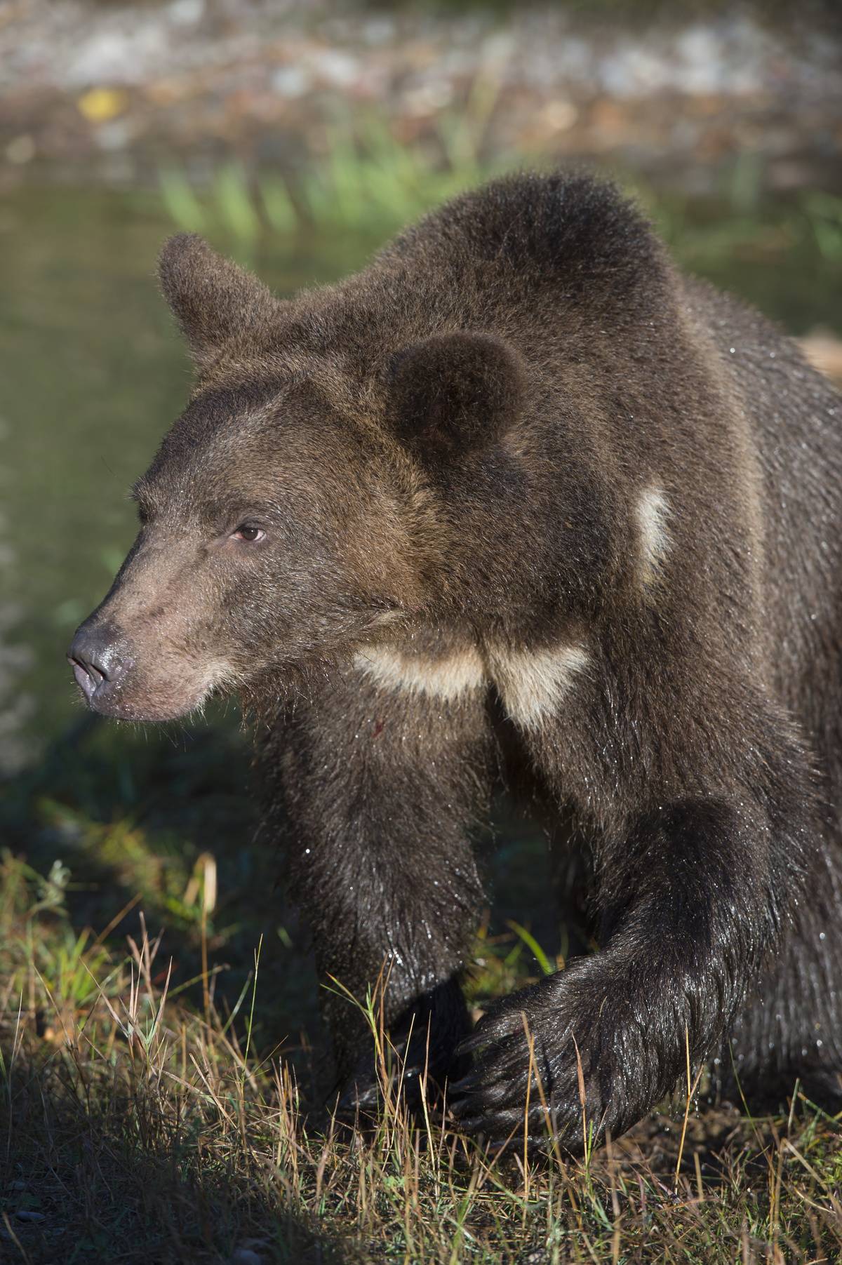 GettyImages-460401470