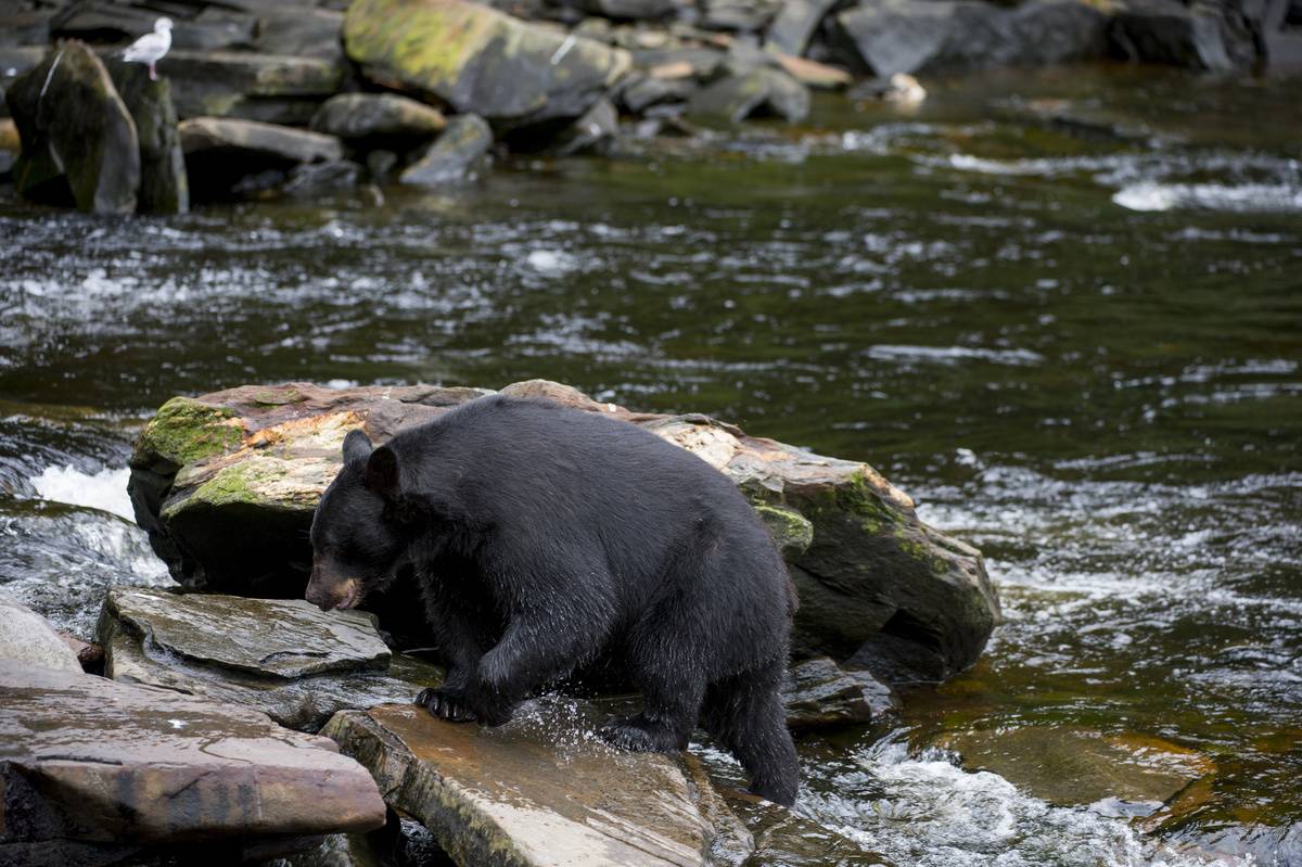 GettyImages-460402264