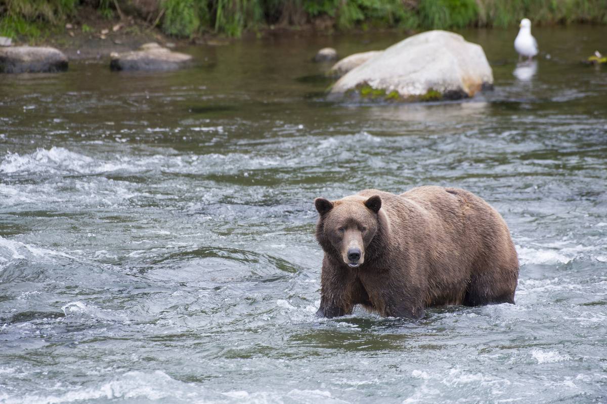 GettyImages-460403188