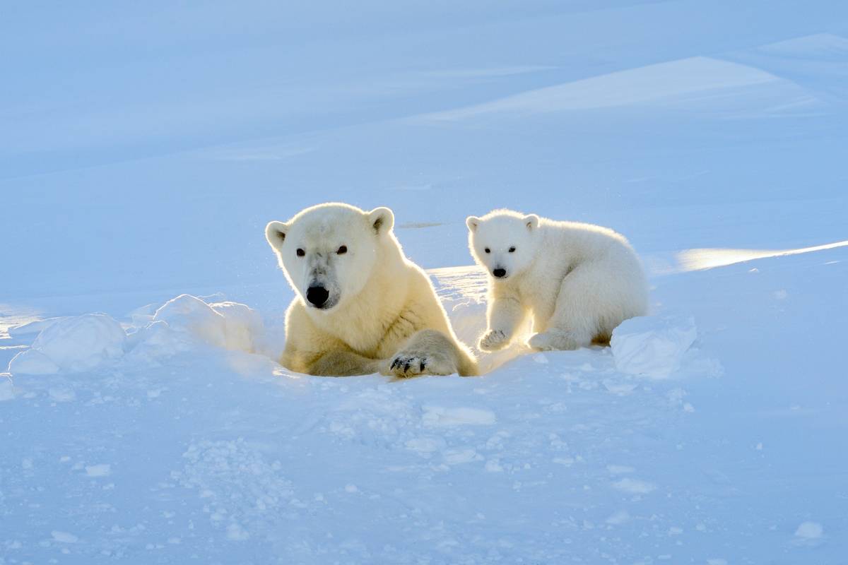 GettyImages-471781160