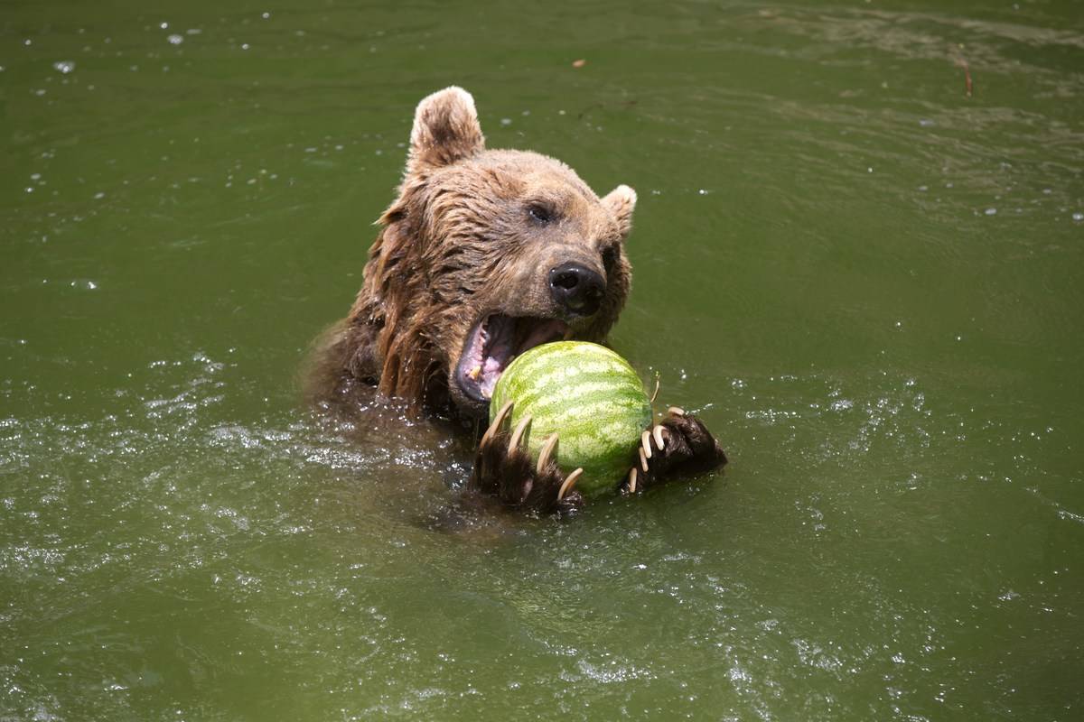 GettyImages-474866232