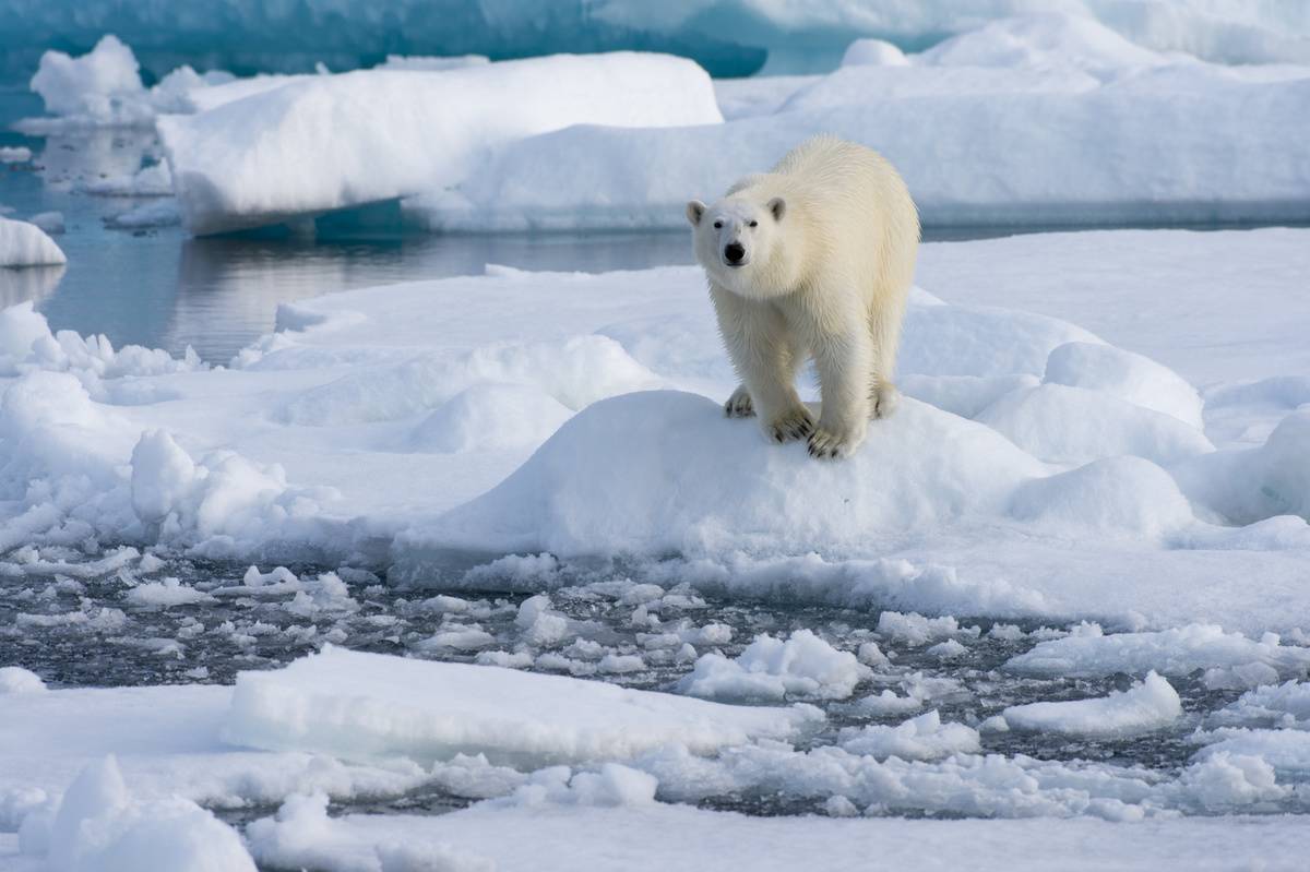 GettyImages-498047054