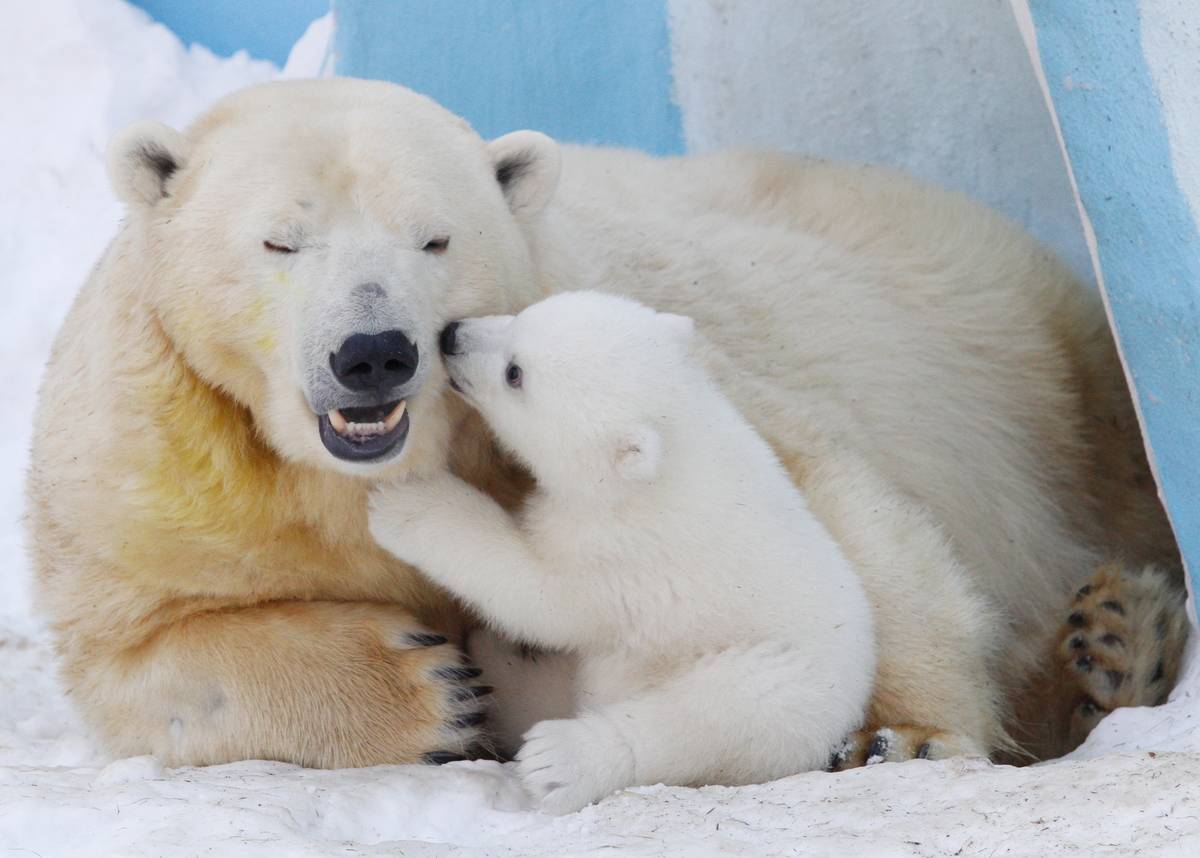 GettyImages-512643470