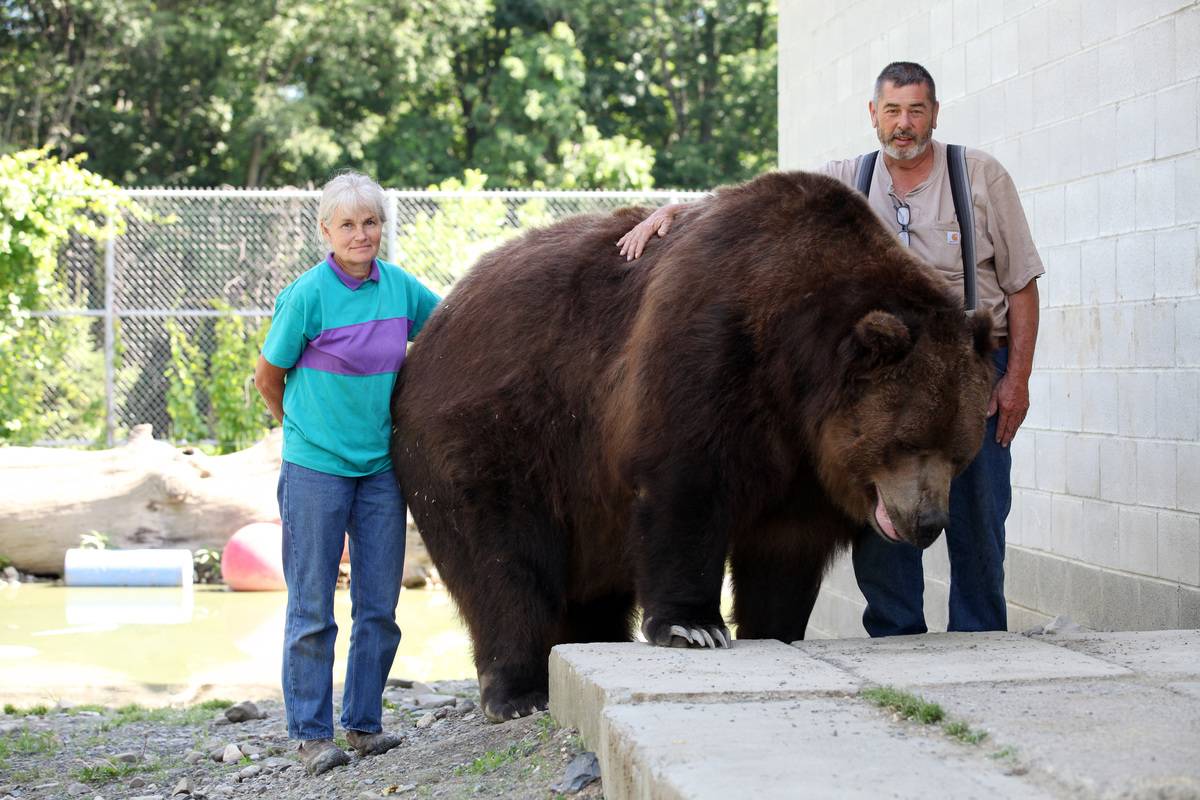 GettyImages-611511276