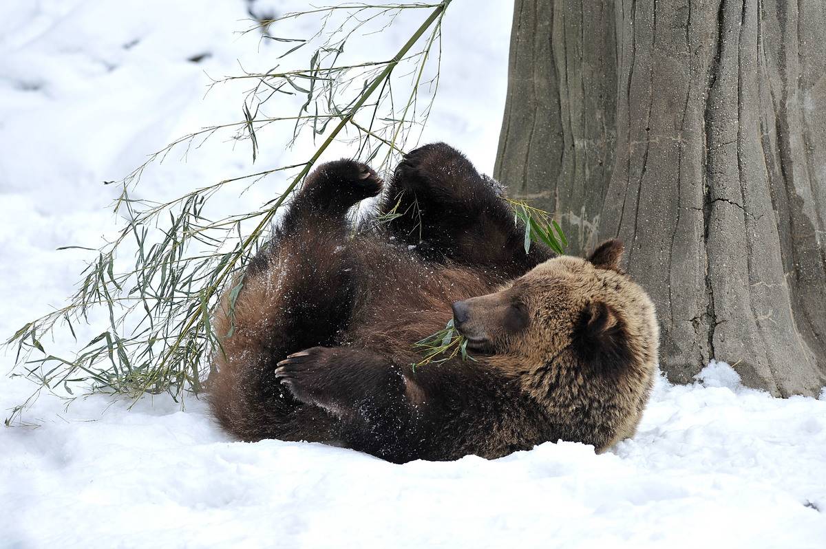 GettyImages-96802344