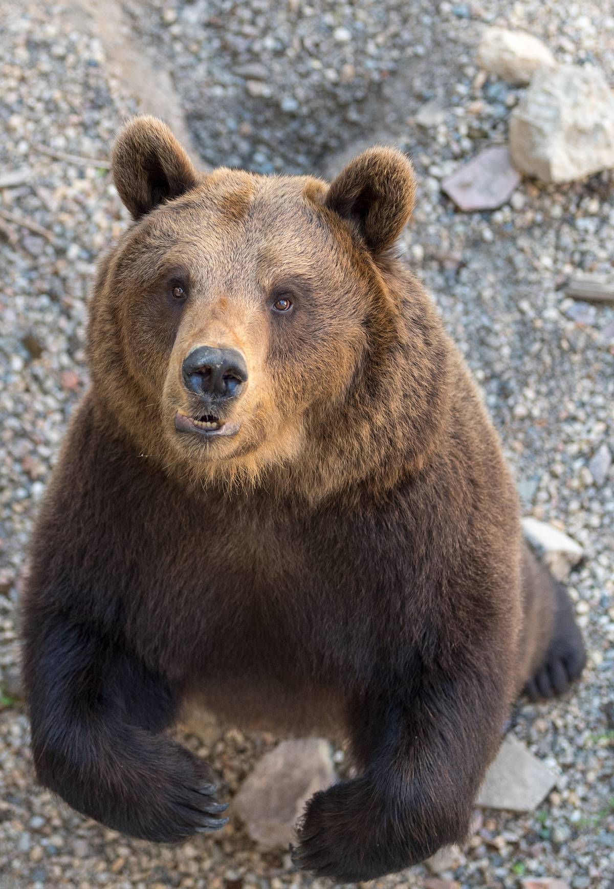 GettyImages-989672310