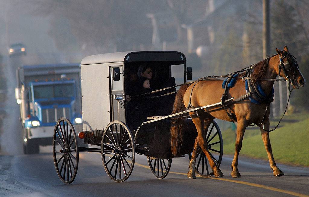 Amish children arrive via horse and buggy