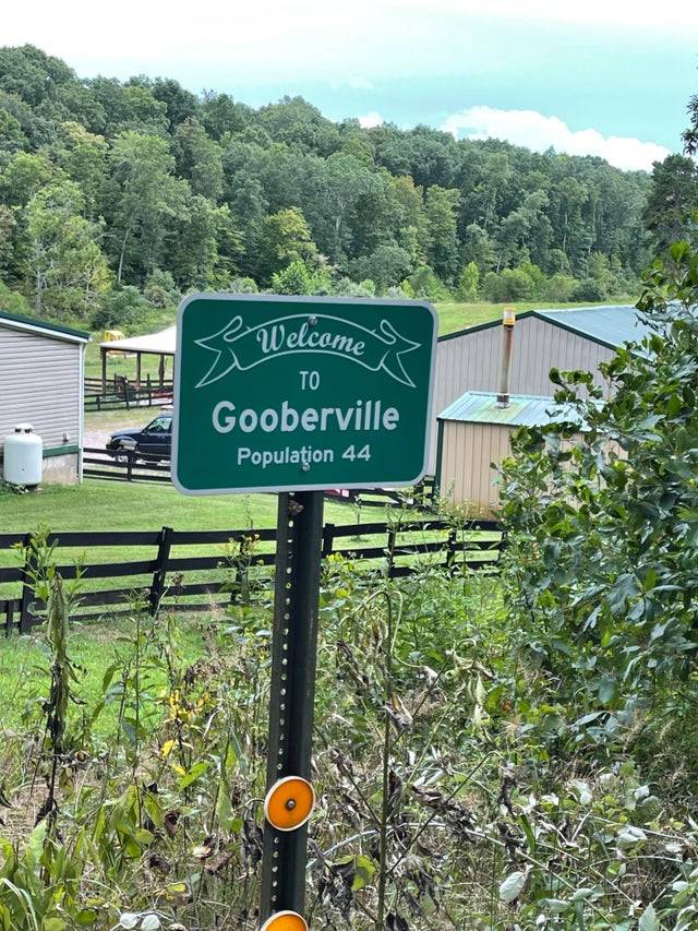 Welcome To Gooberville Population 44 Town Sign