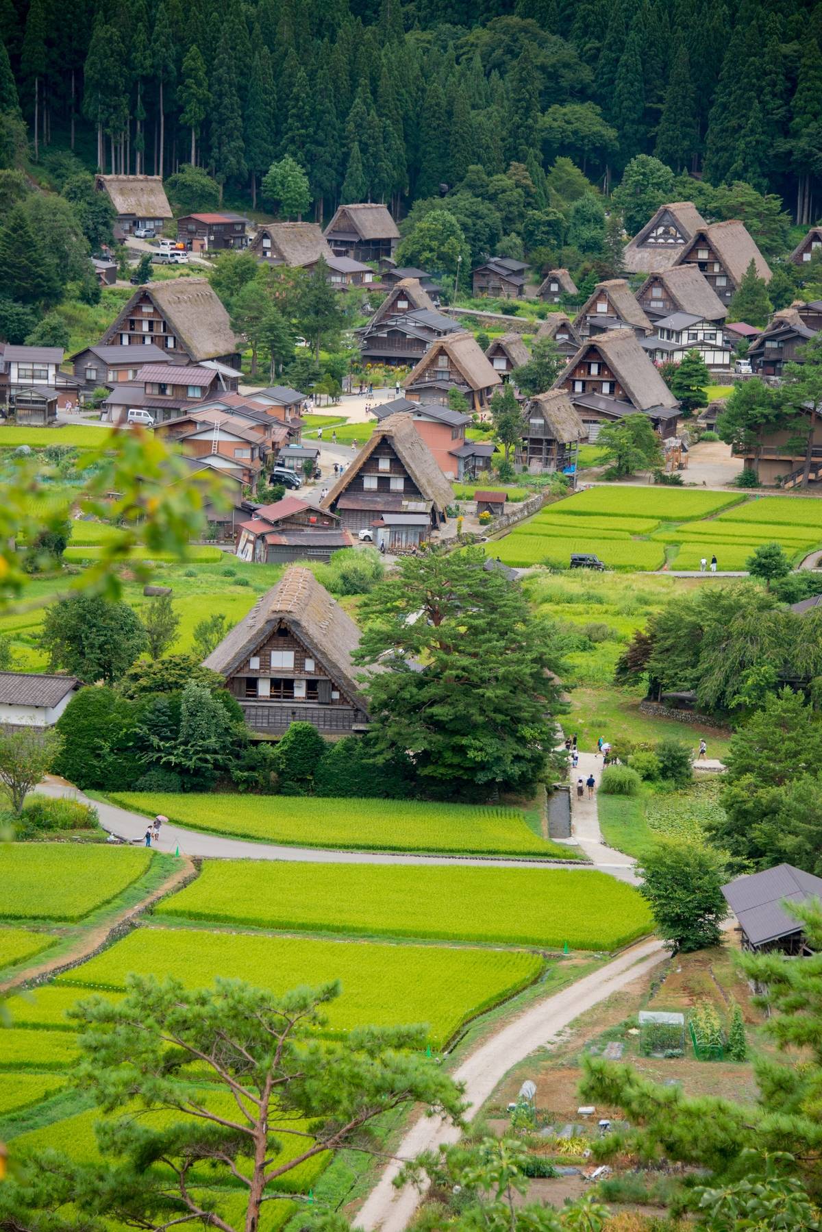Asia. Japan. Gifu prefecture. Shirakawa-go