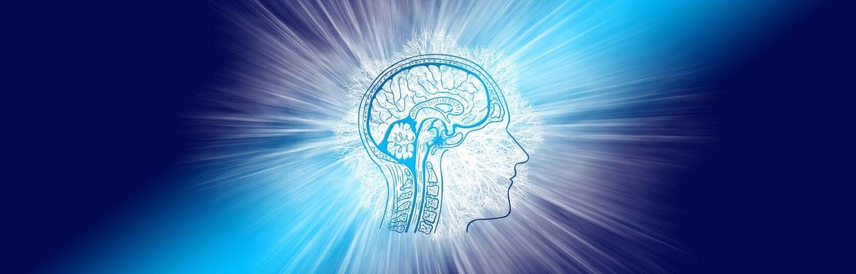 An illustration shows a human brain.