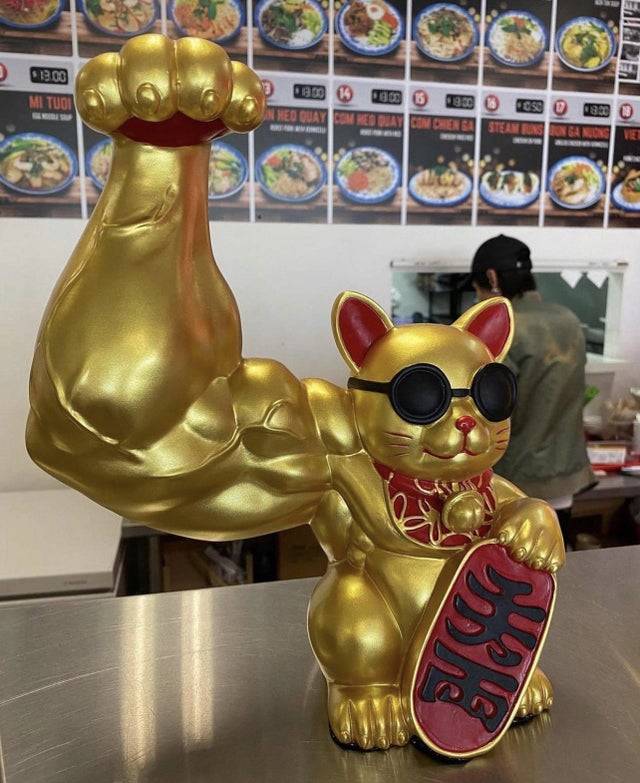 powerful cat at restaurant