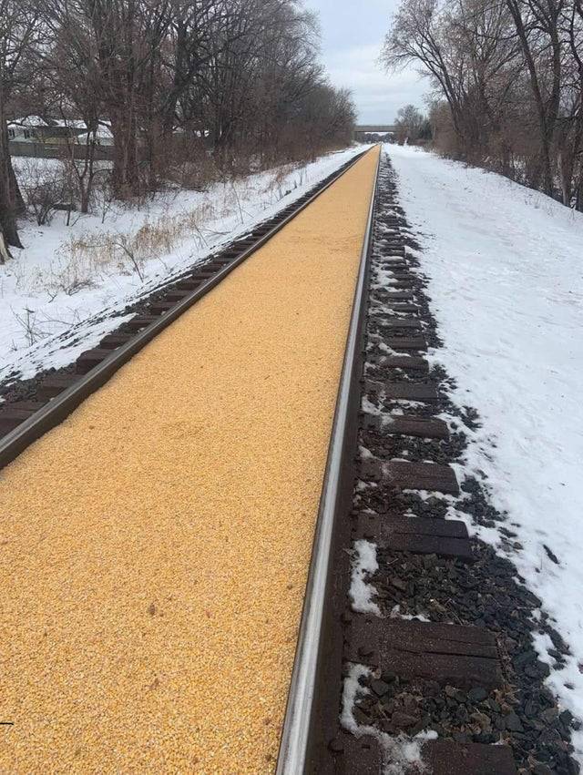 corn on train tracks