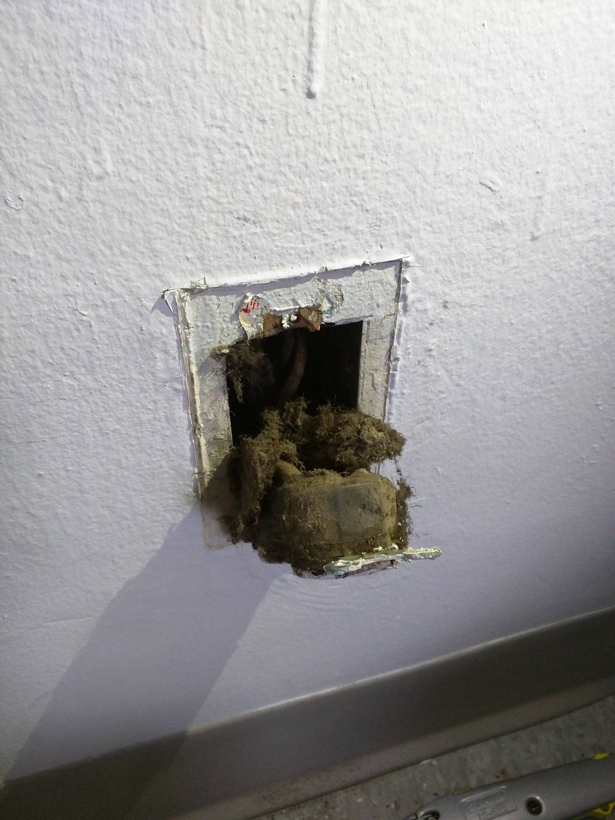 Broken outlet cover with insulation and mould behind