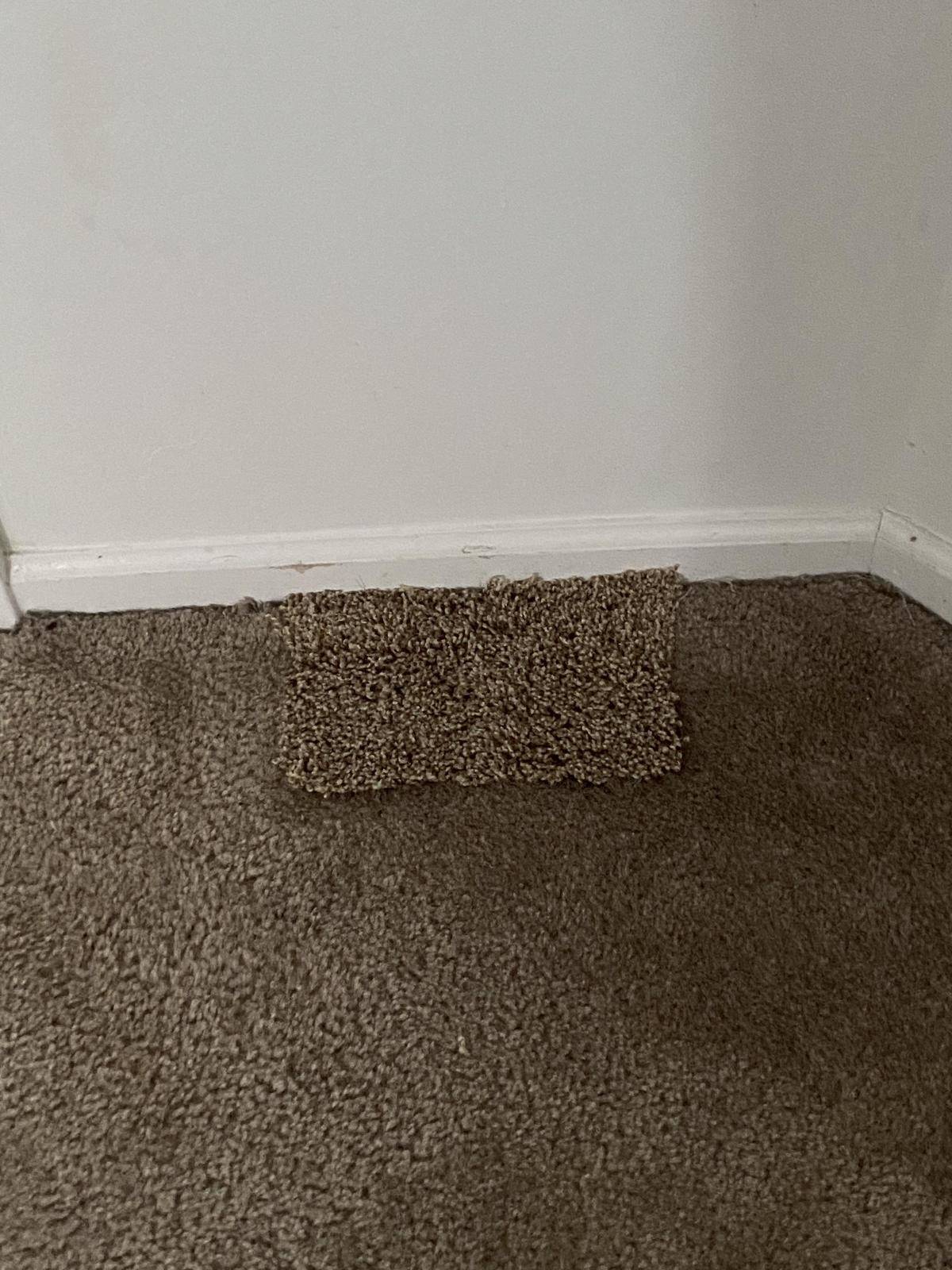 Person has patched carpet hole with different material carpet