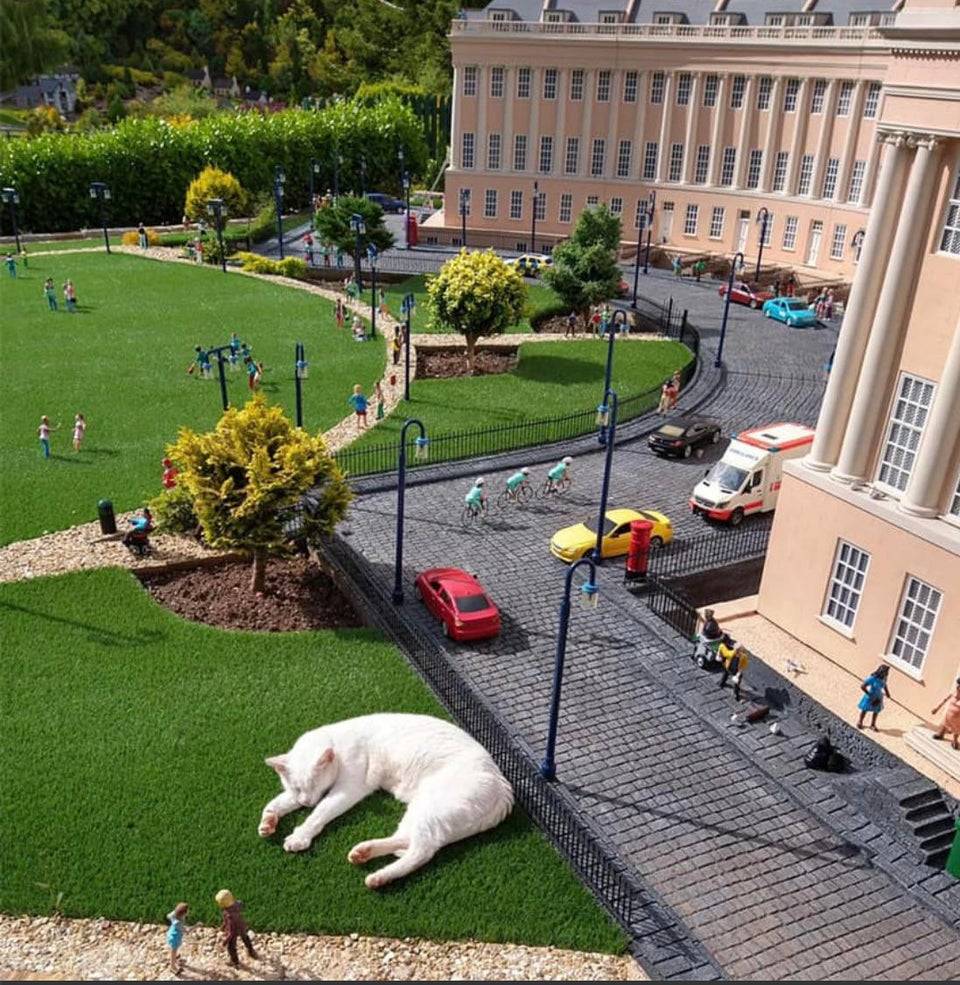 White cat naps in model village beside path with miniature pedestrians