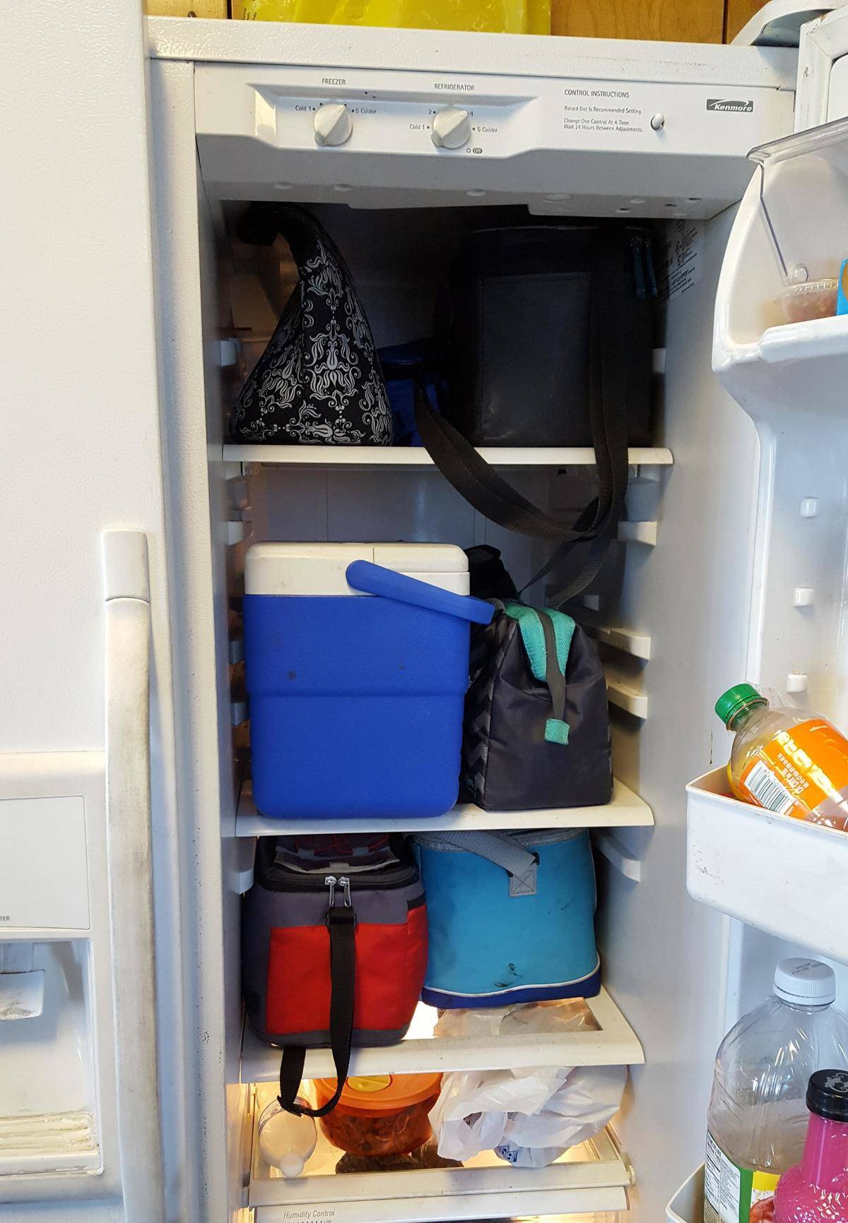 Fridge filled with cooler bags and one hard-sided cooler