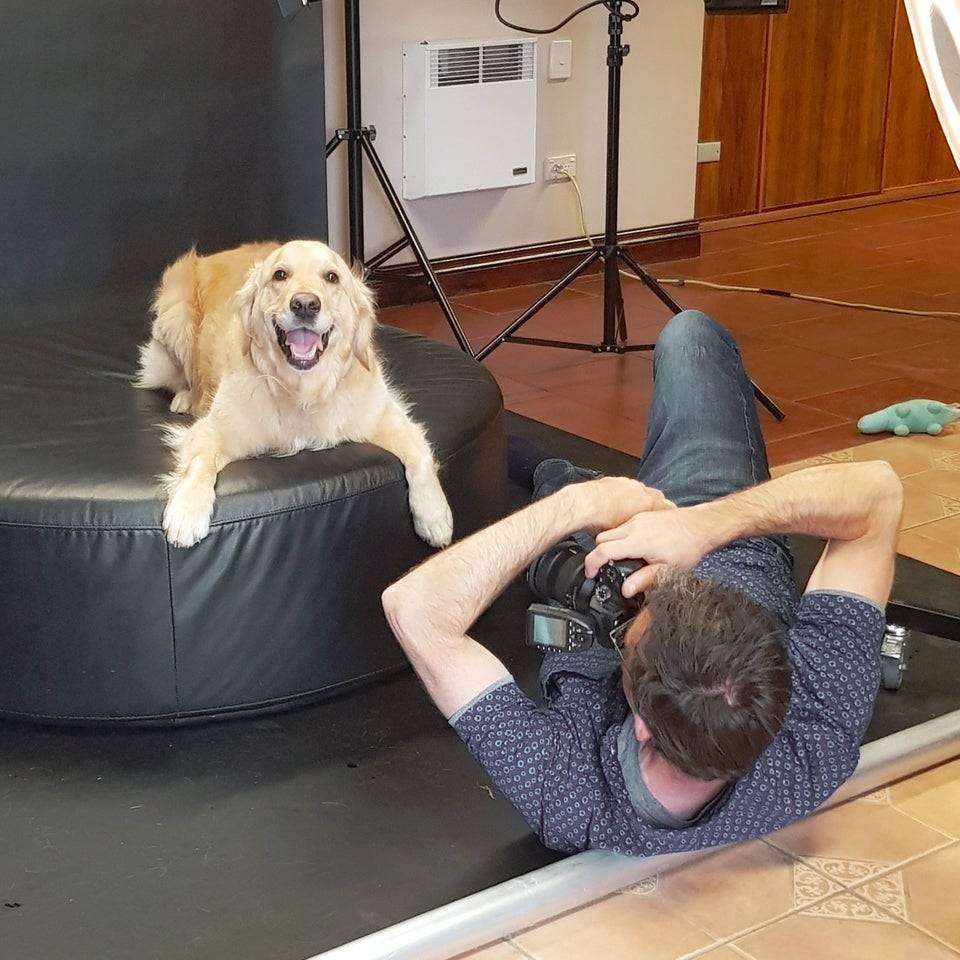 Photographer on the ground taking a picture of a dog on a cushion.