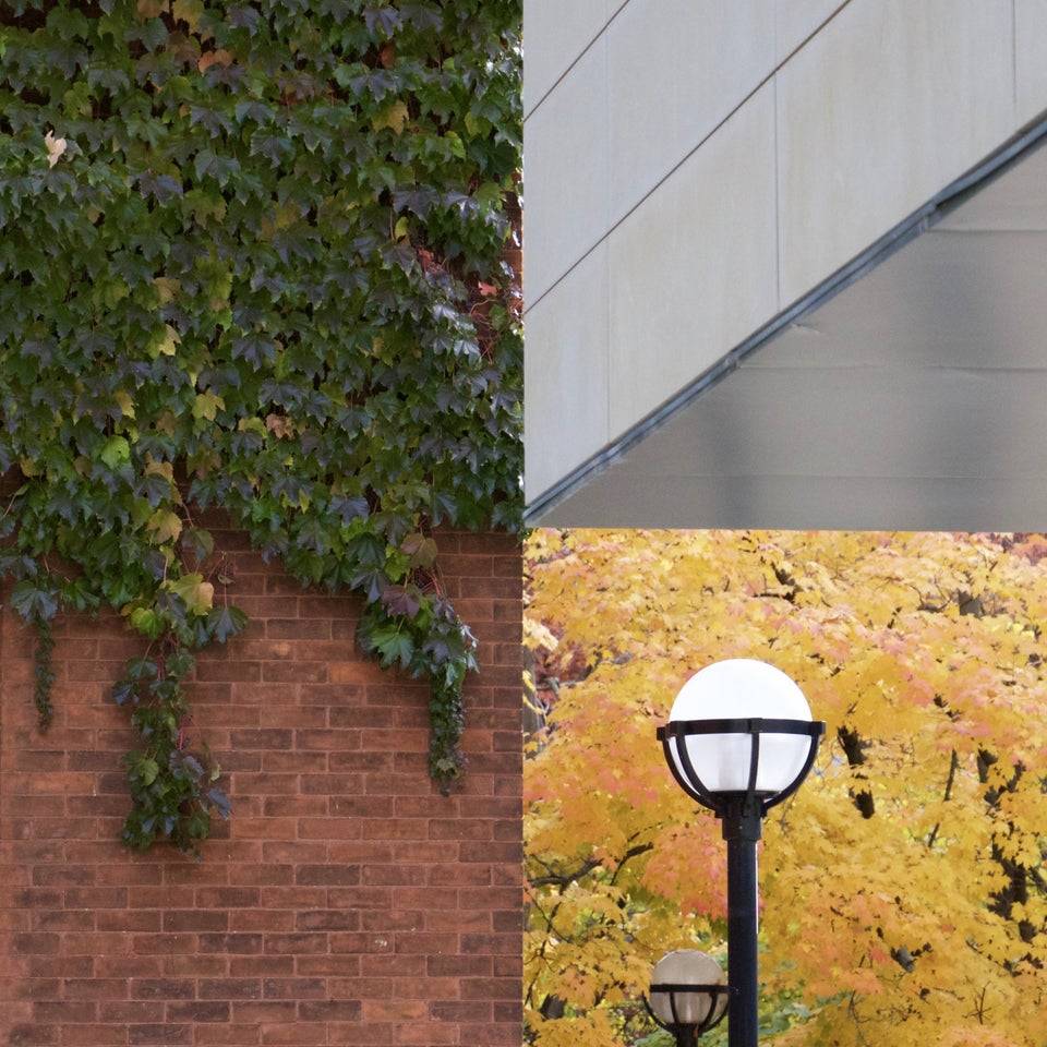 4 seasons optical illusion photo