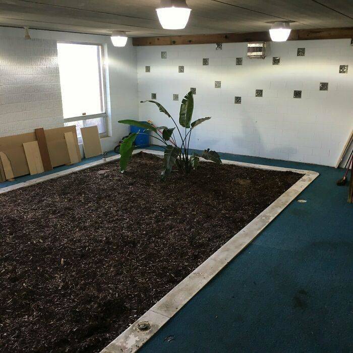 pool made into a garden