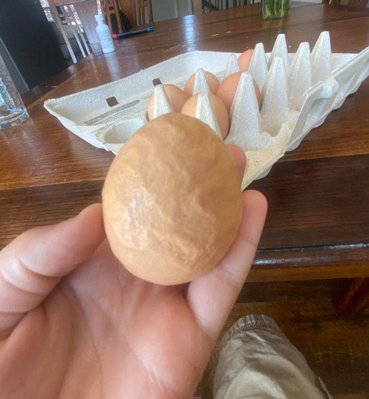 weird egg in the carton