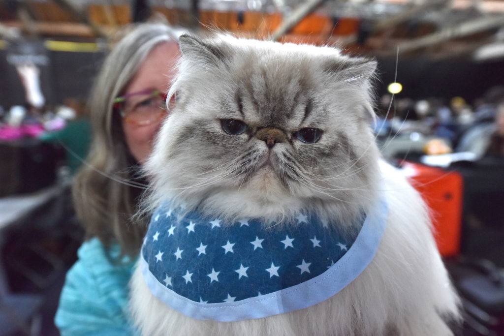 GettyImages-1146942721