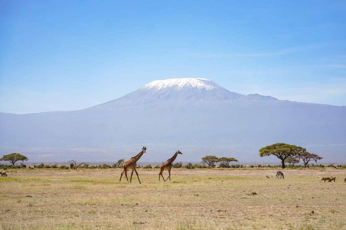 AFRICA-NATURAL LANDSCAPE-CULTURAL CUSTOM