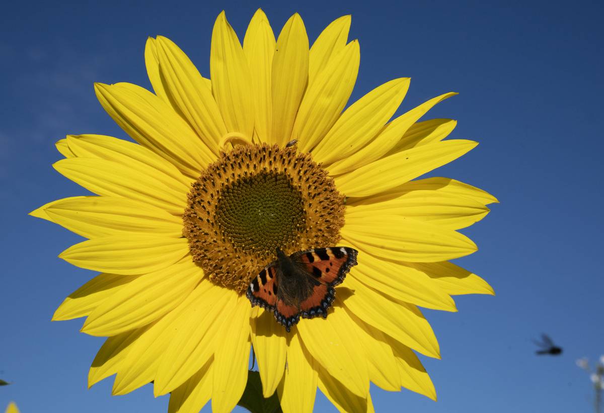 Autumn weather Sep 16th 2021