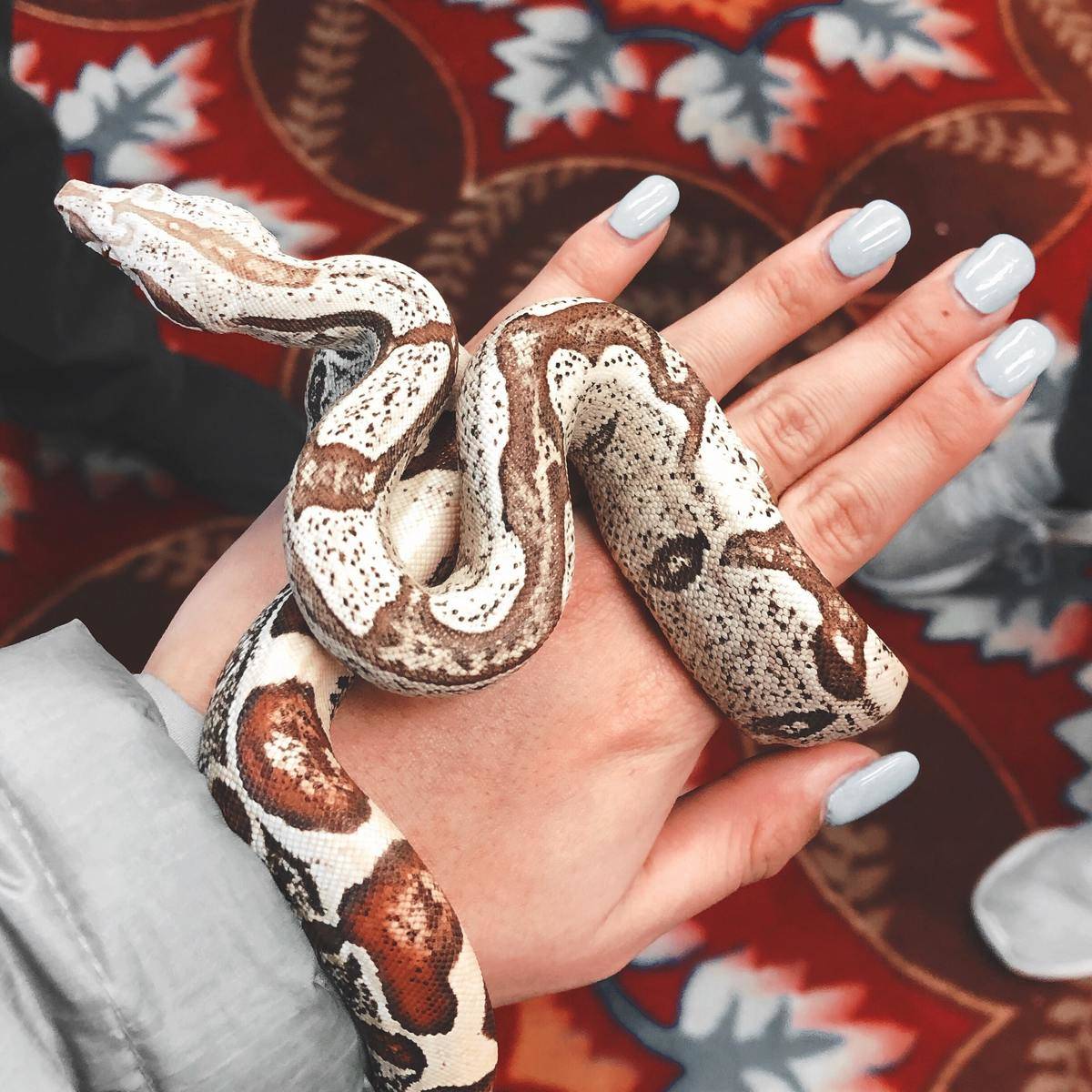 t-s S3MmYoKBv8-unsplash