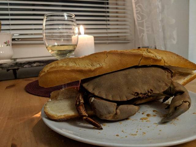 Whole brown crab on plate between baguette buns