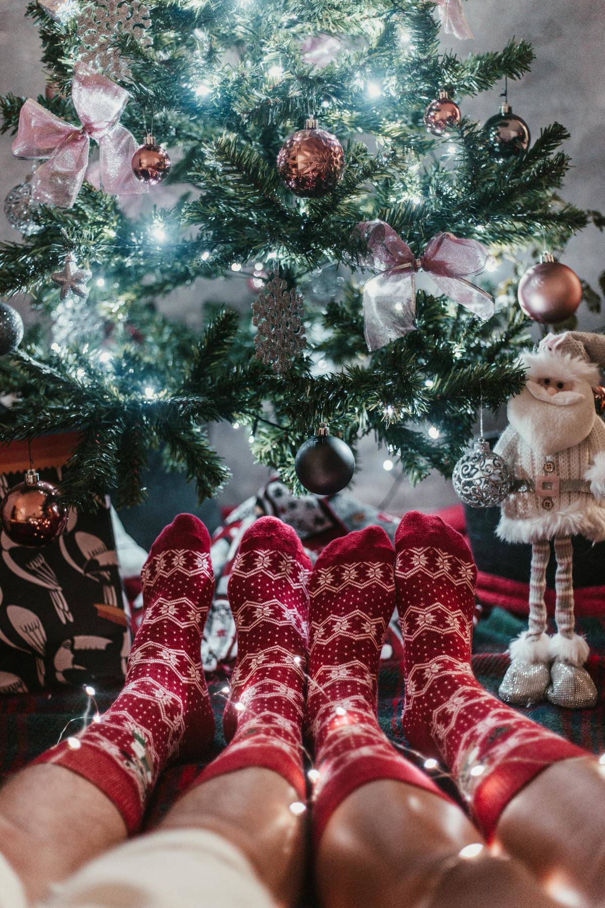 Decorated Christmas tree with people with red socks sitting under it.