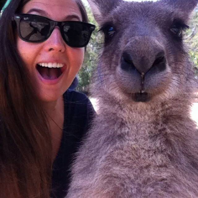 Selfie with a kangaroo
