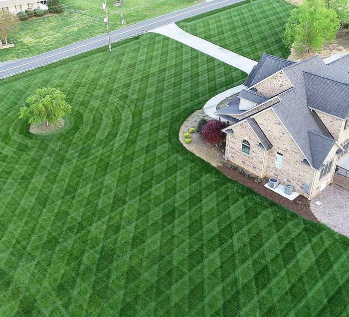 Grass cut aesthetically pleasing rows