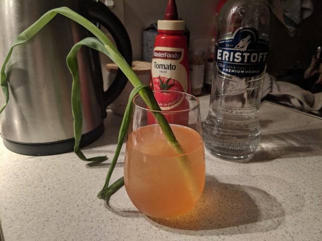 Bloody Mary made with ketchup and green onion