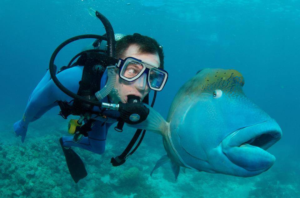 Scuba diver takes selfie with fish in ocean