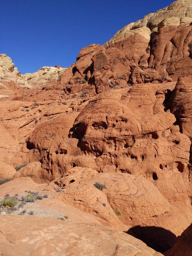 Rock on a cliff and one of them looks like a skull