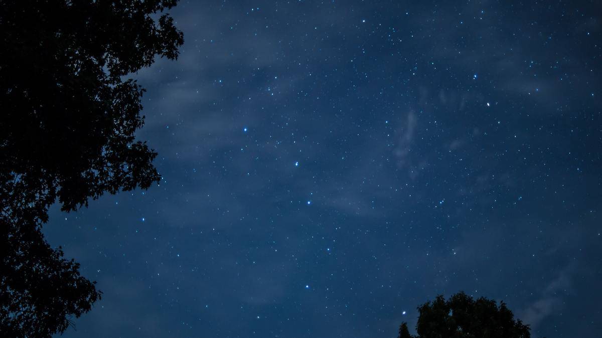 A starry sky on a summer night. 