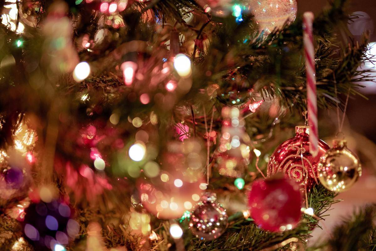 Close-up of decorations on a tree