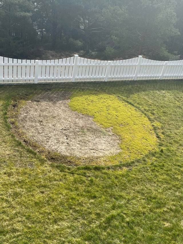 Circle of grass in a yin-yang symbol.