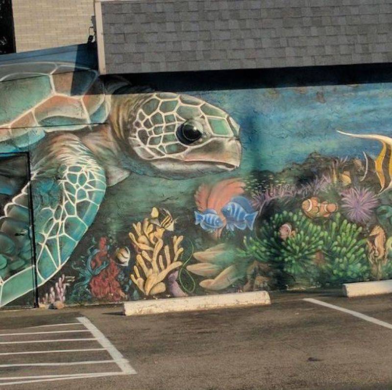 turtle mural with camera