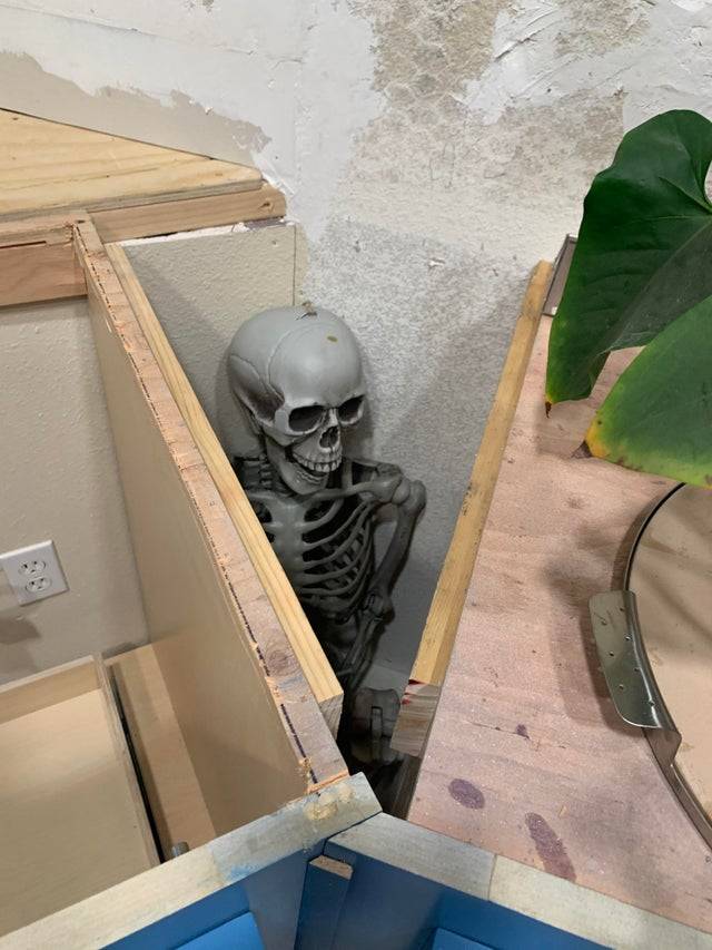 Fake skeleton tucked in open space beneath new counter tops