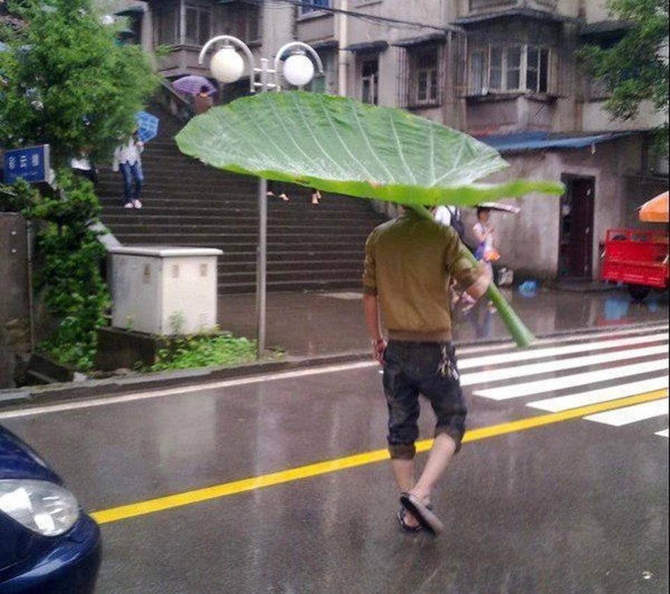 Man walking down rainy street using giant leaf as umbrella