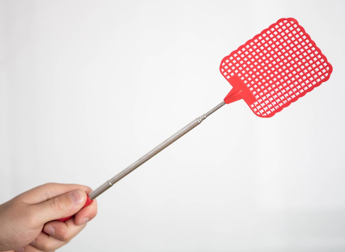 Fly Swatter