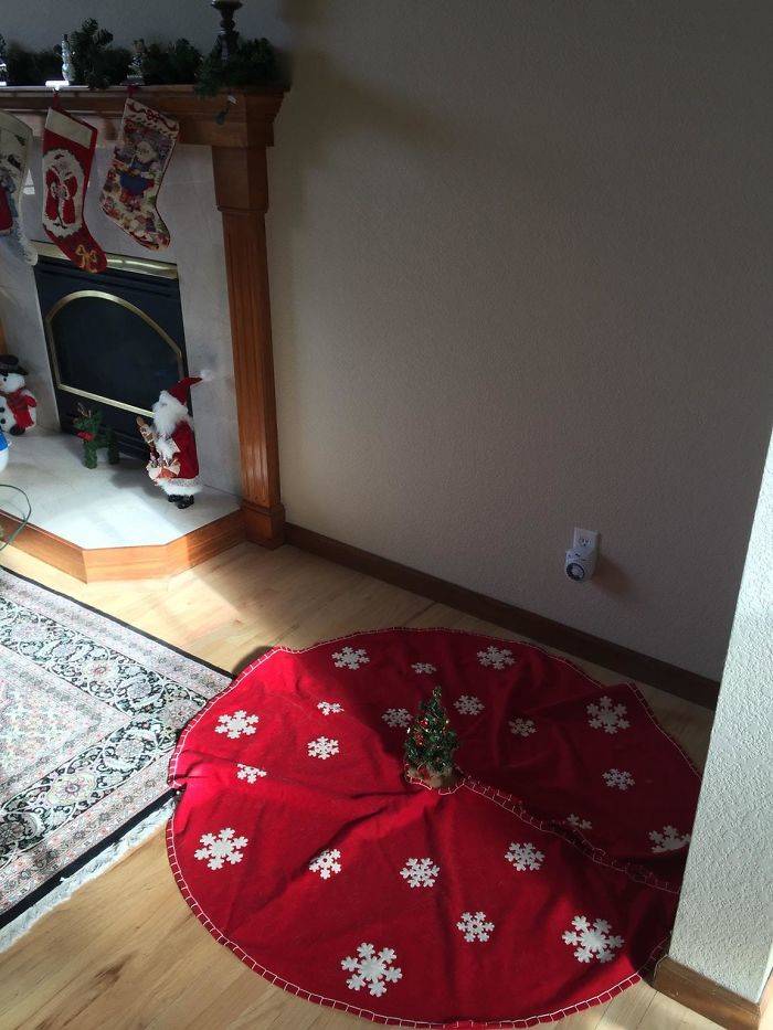 girlfriend put up little tree