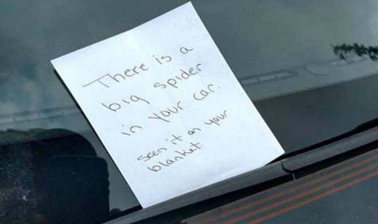 Note on car windshield saying there is a spider in the car.