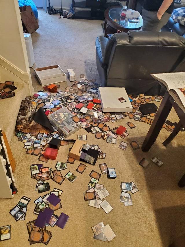 Box of playing cards all over the floor.